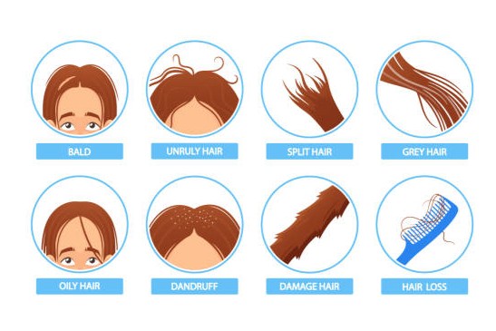 Hair Fall & Scalp Disorders